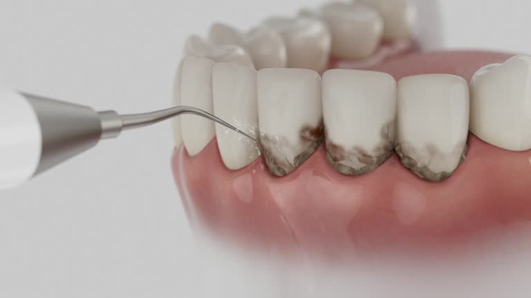 Reliable Dental contractor in Lakemoor, IL by Dentist Open Now